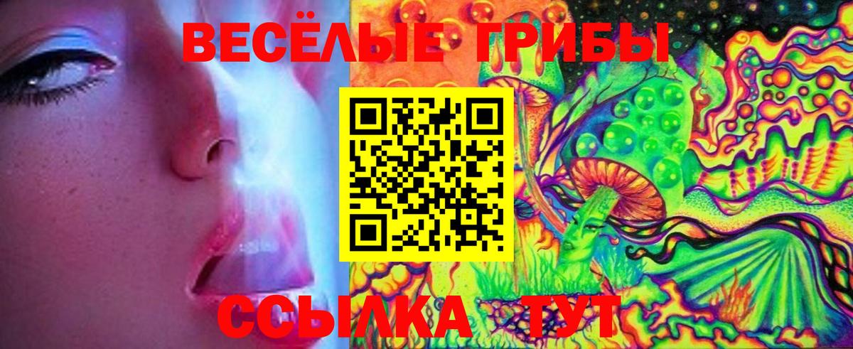 Псилоцибиновые грибы Psilocybe  Вход с VPN  Ижевск 